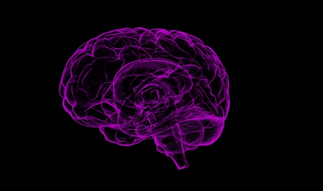 Test Welche Gehirnhälfte dominiert bei Euch - ThinkNeuro!