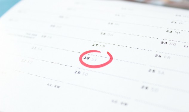 Vita Studiosi - der Kalender für alle Sinne - ThinkNeuro!